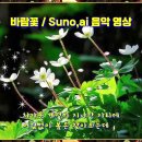 바람꽃 Daum카페