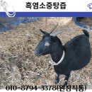 보은건강원 - 해남군 산이로 1744 | 보은건강원