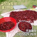 금잔디농원 이미지