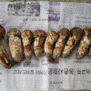 고은농장 이미지