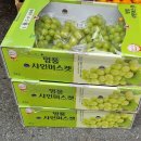 하나비젼실버홈 이미지