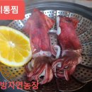 한치농장 이미지