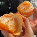 목정식당 이미지