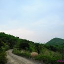 배내무등골길 이미지