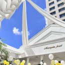 둔산중로-5 | [대전 메리비아포레 웨딩홀] 대전웨딩홀 / 오픈돔 / 야외웨딩/ 풍선피날레 / 뷔페음식후기 ✨