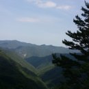 영차주유소 Daum카페