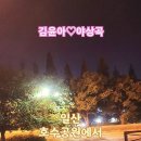 일산 호수공원에서 김윤아-야상곡. 이미지