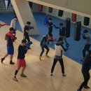 대한복싱훈련장 이미지