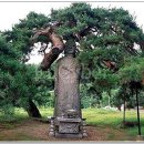 송불암