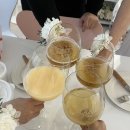 포레스트 스튜디오 이미지