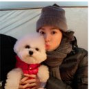 럭키가이 | 송혜교, '심쿵' 초밀착 셀카...품에 안긴 '럭키가이'는?