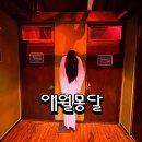 봉성로 | 제주 애월 몽달 후기 딸이랑 방탈출 갔다가 엄마 혼자 다푼 썰
