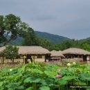 경동식당 이미지