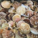 믿음수산 이미지