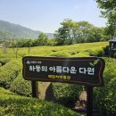 매암다원문화박물관 Daum카페