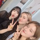롤로 이미지