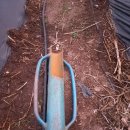 고추말뚝을 박았습니디ㅡ 이미지