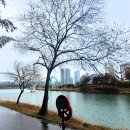 해파랑길 7코스 이미지