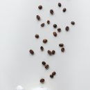 커피이야기(coffee story) 이미지