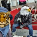 SG 복싱 GYM 이미지