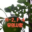 신재호 행정사 사무소 이미지