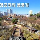 대구 경상감영지(大邱 慶尙監營址) | 대구여행 / 대구광역시 중구 400여년 영남의 수도 경상감영공원의 봄풍경.
