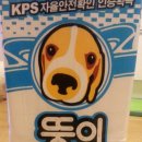 퍼피스캔들 이미지