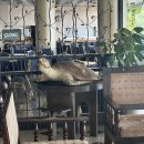 베니키아호텔산과바다속초 이미지