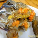 성원식당 이미지