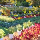 남천둔치2 이미지