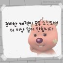 양선생연탄돼지불고기 이미지