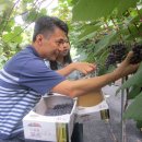 정서농장 이미지