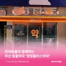 양정플러스약국