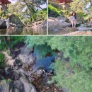 경북 영주 피서지 금선정, 금선계곡 (잠적 한지민 ft)
