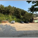 금강산식당 - 수성구 달구벌대로650길 39 | 장흥계곡 닭볶음탕 맛집, 반려견 동반 식사 가능한 금강산 계곡 식당 솔직 후기