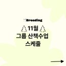 중동공원(가좌2동체육근린공원) | 🚩산책 그룹 훈련은 브리딩, 11월 그룹산책수업 스케줄
