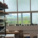 4길6Cafe | 6월 / 긍정의 총량(크레마페블, 순천 꽃길도자기, 나우도자, 도원당 버터떡, cafe HEe, 생일주간 서울...