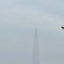 베어베이글 - 전주시 덕진구 송천1길 9-15 | 베어베이글