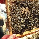 호운농장 이미지