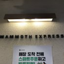 매머드익스프레스역삼 이미지
