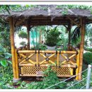 부산수목전시원 이미지