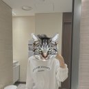 [내돈내산] 강남역 피부과 홍조 기미 모공 레이저 4회차 후기… (비포애프터, 효과, 통증, 다운타임, 가격)