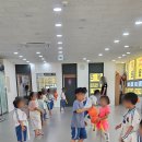 타이거 유치부 태권도 전용관 이미지