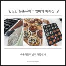 진안사람이야기 | 진안 농촌유학 | 우화들락날락화합센터 쌀베이킹 원데이클래스