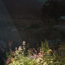 윤현하우스 이미지