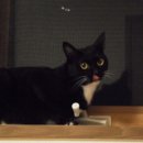 교대역 6번 출구 앞 이미지