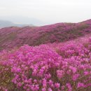 여수오동도민박 이미지