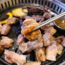 거북이야채