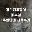 나로동물병원 이미지