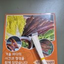 별콩상회 세련된 과메기에서구룡포 과메기 혼술세트로 제대로 혼술한 후기 남겨요